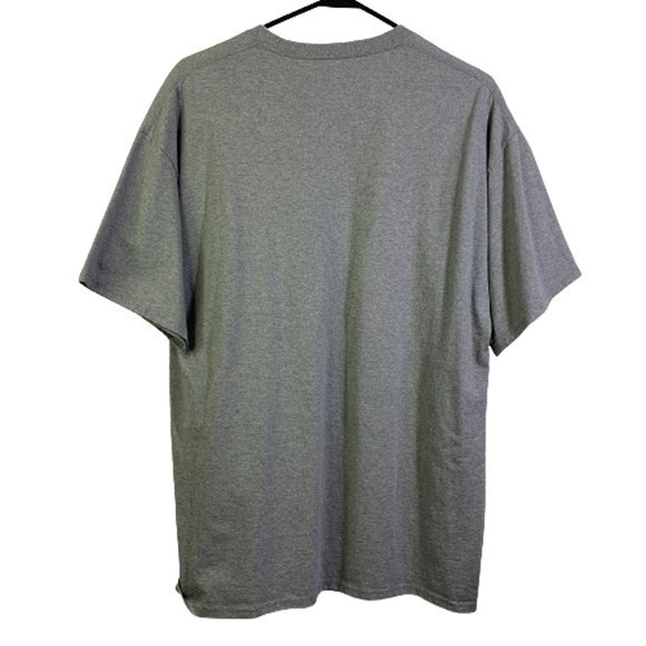 DISNEY PARKS x HANES Grey Walt Disney World Original Graphic T-Shirt - Picture 3 of 4